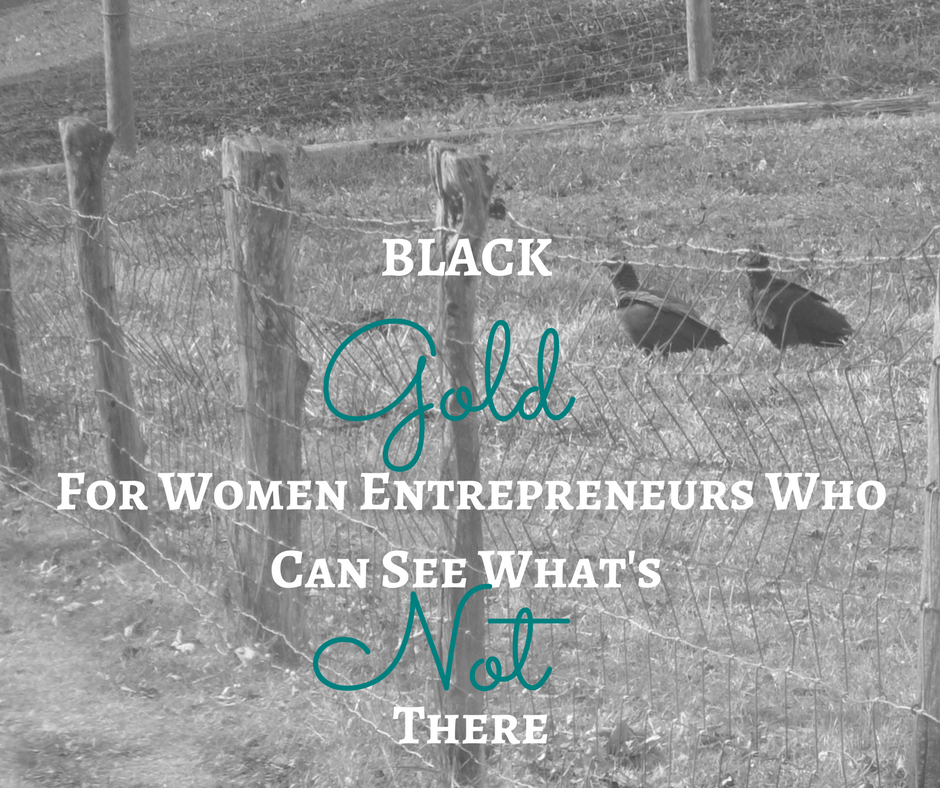 black gold: women entrepreneurs who see what's not there 